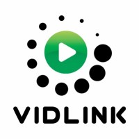 Vidlink Limited logo - Similar company to Guardforce Ltd
