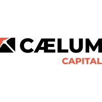 Caelum Capital logo - Similar company to Dhow Kimura African Commodity Trade Finance Fund