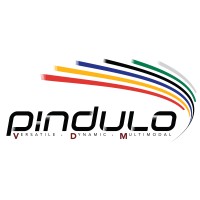 Pindulo VDM logo - Similar company to Isanku