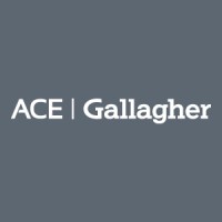 ACE Gallagher logo - Similar company to Knowledge Bonds