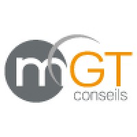 MGT Conseils logo - Similar company to Nk Analytics