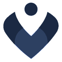 Vizonomy logo - Similar company to Agile Software