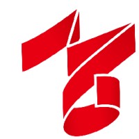 MetalForm China logo - Similar company to Rah Ceylon