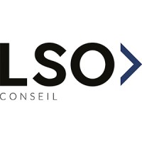 LSO Conseil logo - Similar company to Lso International