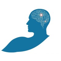 Brain & Body Performance