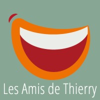 Salut Thierry logo - Similar company to Tsjechisch Centrum Nederland