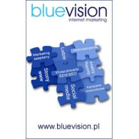 Blue Vision Internet Marketing