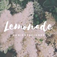 Lemonade Organización y Ambientación de Eventos logo - Similar company to Remax Juntos
