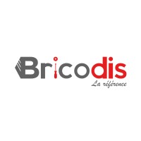 Bricodis logo - Similar company to Somalaval Sa