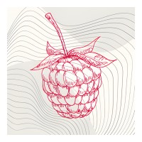 BerryNews.org logo - Similar company to Sileram B.V.