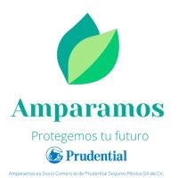 Amparamos logo - Similar company to Macifilia