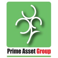 Prime Asset Group (PAG) logo - Similar company to Prime Asset Group
