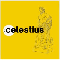 Club Celestius CIT logo - Similar company to Betshoow