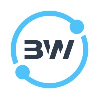 Bitsworld Infosoft logo - Similar company to Code Wings