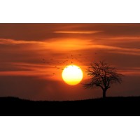 SunrisersEcon logo - Similar company to Helicon Inc