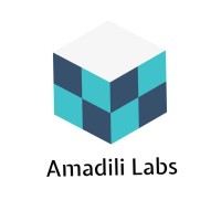 Amadili Labs Private Limited logo - Similar company to Mirror View 360
