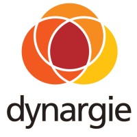 Dynargie Switzerland logo - Similar company to Back To Essential