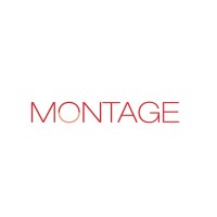Montage Models logo - Similar company to Ledrew Models