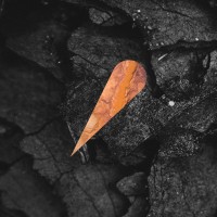 Prime Portugal Investment Advisory logo - Similar company to Ramko Properties