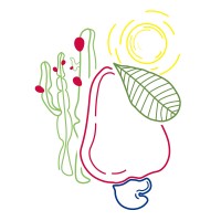 Caju Consultoria Nordestina logo - Similar company to Carbo Vapt