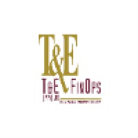 T&E FinOps logo - Similar company to Lanternway