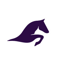 Money Stories Asset Management logo - Similar company to Longview Ventures