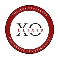 Elixir XO logo - Similar company to Cabinet 31