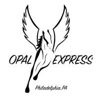 OPAL EXPRESS INC