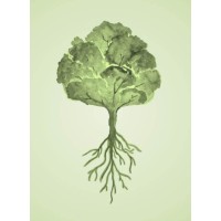 Dendrum Consultoria Ambiental logo - Similar company to Ponte Ambiental - Consultoria E Soluções