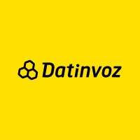 Datinvoz logo - Similar company to Somos Quicknet
