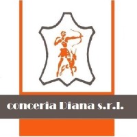 Conceria Diana srl logo - Similar company to Solwerk