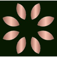 DSI Interiors Pvt. Ltd. logo - Similar company to Provisioningtech
