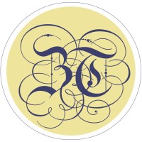 BS-TSeries Foundations logo - Similar company to Dolo Media