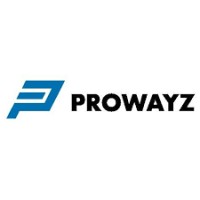 Prowayz Solutions Pvt Ltd logo - Similar company to Mexoit