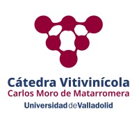 Cátedra Vitivinícola Carlos Moro de Matarromera de la Universidad de Valladolid logo - Similar company to Maison Mina