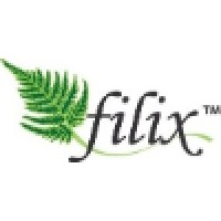 Filix Consulting Pvt. Ltd. logo - Similar company to Rostan Technologies Pvt. Ltd.