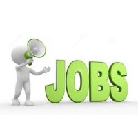 Job Bulgaria logo - Similar company to Techwork Bulgaria