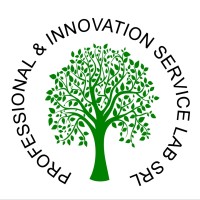 Professional & Innovation Service Lab Srl logo - Similar company to Veronica Capozzi