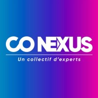 CO-NEXUS logo - Similar company to Olvani Architecte De Projet Digital Web/Mobile