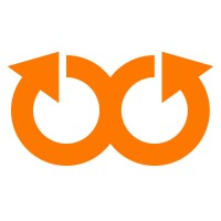 Oryzus Consulting logo - Similar company to Idesign Inc.