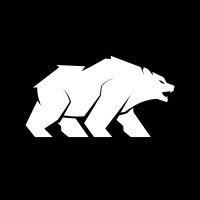 BRO BEAR GmbH logo - Similar company to Input Consulting Ag