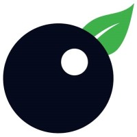 Foosion logo - Similar company to Tidepoint Analytics