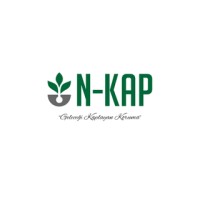 NKAP NANOTEKNOLOJİ BİLİMSEL ARAŞTIRMA A.Ş. logo - Similar company to Nanoteknoloji Ve İnovasyon Kulübü
