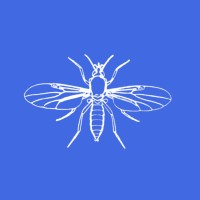 Insect Research & Development Limited logo - Similar company to Insect Technologies - Intech Brasil