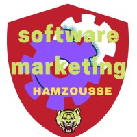 SOFTWARE MARKETING logo - Similar company to Technical Development Institute