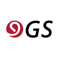 González Solís, S.C. logo - Similar company to Gestión Contable Interactiva