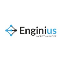 Enginius logo - Similar company to Redelfi