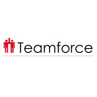 Teamforce logo - Similar company to Teamforce Human Resources