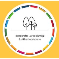 Masterstudiet i bærekrafts-, arbeidsmiljø- og sikkerhetsledelse ved NTNU logo - Similar company to Vdcnorway