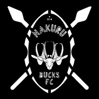 Nakuru Bucks Football Club logo - Similar company to Nakuru Children'S Project